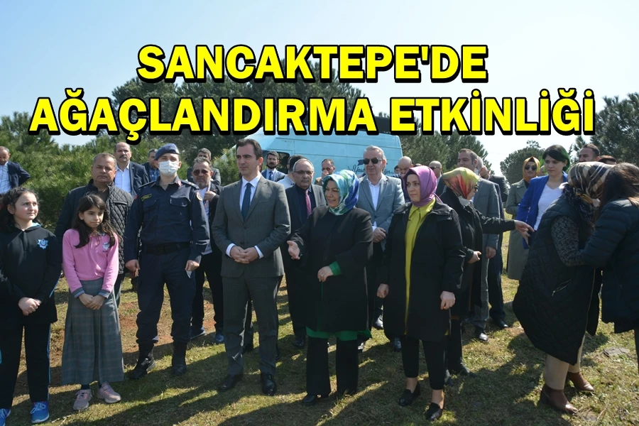 Sancaktepe’de Ağaçlandırma etkinliği düzenlendi